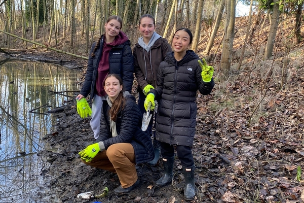 Planting Trees in Local Parks